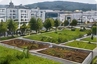 Parc urbain et toitures végétalisées